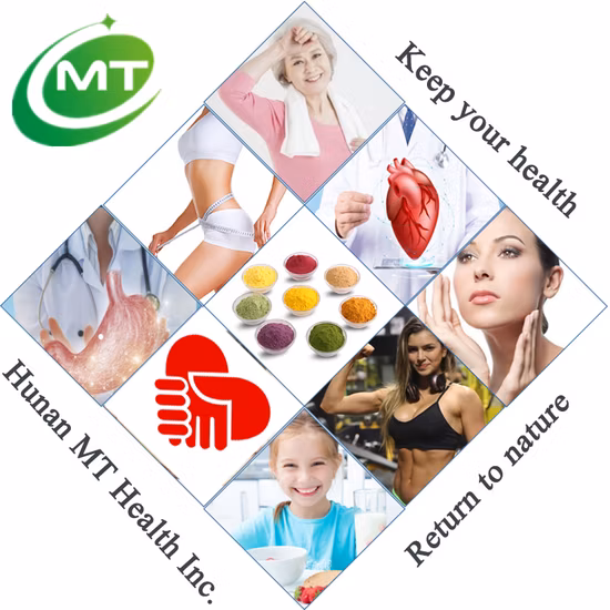 Завод Heidelbeerfruchtpulver Heidelbeerpulver