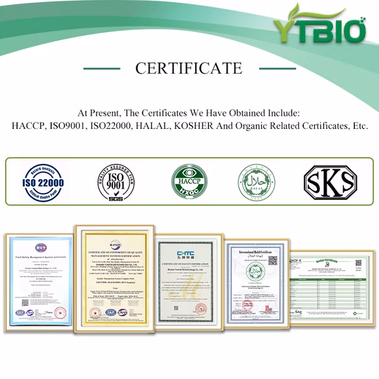 Экстракт дикого высококачественного морского огурца улучшает содержание белка.