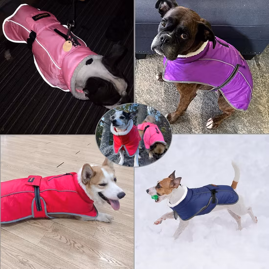 Товары для хранения от нас. Женская хлопковая пуховая куртка нового дизайна, длинное большое пальто. Утепленная куртка на хлопковой подкладке. Длинная зимняя одежда.